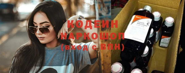 прущие грибы Богданович
