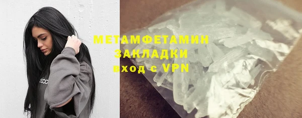 прущие грибы Богданович
