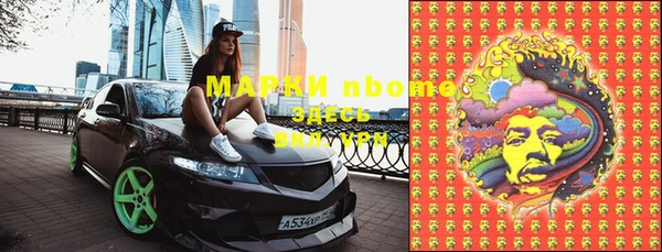 прущие грибы Богданович