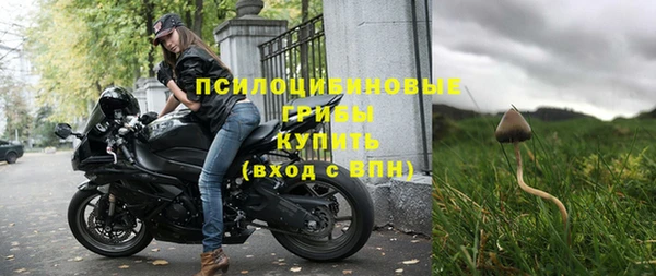 прущие грибы Богданович