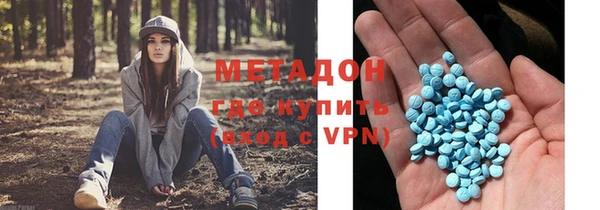 прущие грибы Богданович