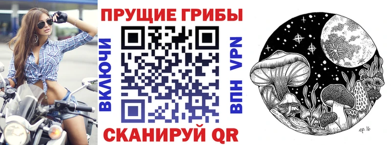 Псилоцибиновые грибы Magic Shrooms  площадка Telegram  Нижний Новгород 